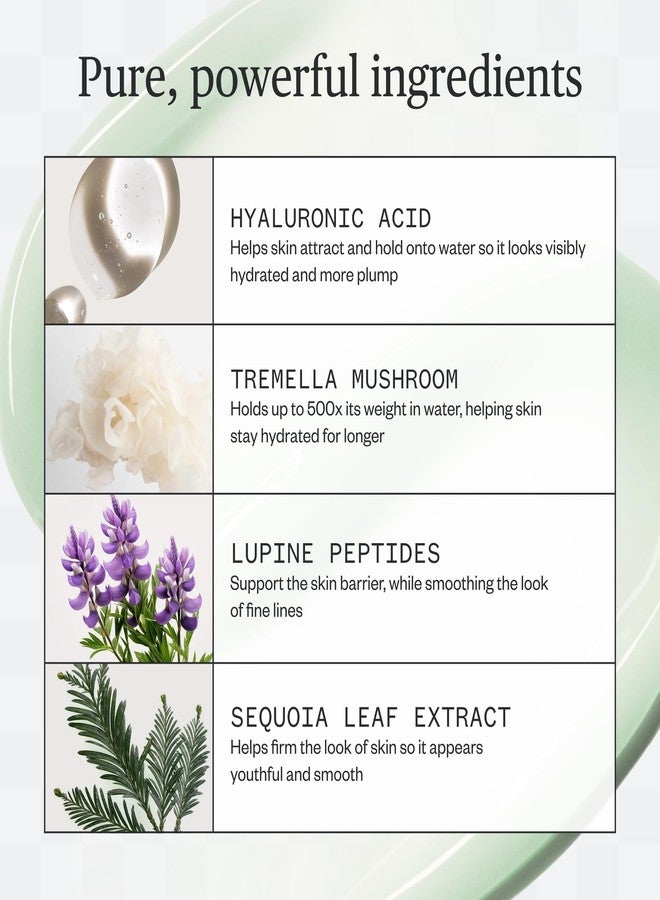 Ursa Major Forest Water Hyaluronic Serum | Deeply Hydrating Natural Face Serum | Boosts Firmness, Plumps Skin & Smooths Appearance of Fine Lines | Vegan, Cruelty-Free, Non-Toxic | 1.0 ounce - Image 2